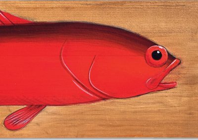 Flagtailed Rock Cod (detail)